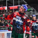 Das Logo der Exklusivmarke delphis auf den Trikots der Augsburger Panther